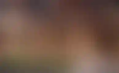 Группа компаний «А101» — лидер сегмента «стрит-ретейл» по версии URBAN 2025