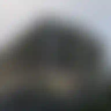 Старт продаж в «Прокшино»!