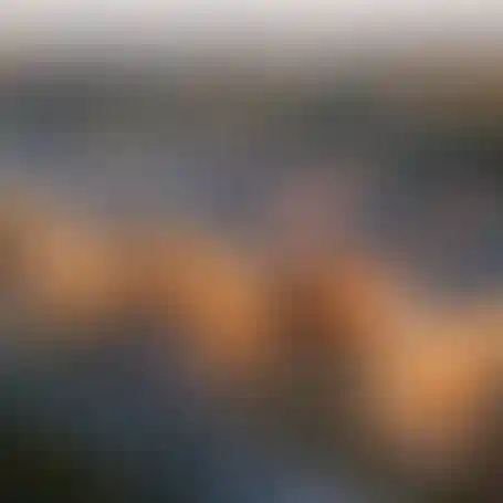 Готовый арендный бизнес. Уже в продаже!