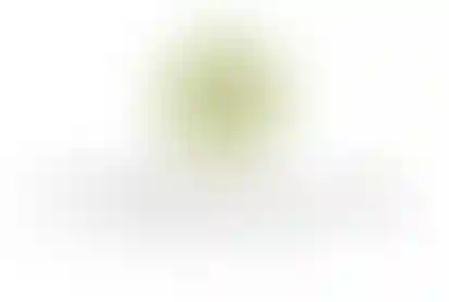 Академия тела