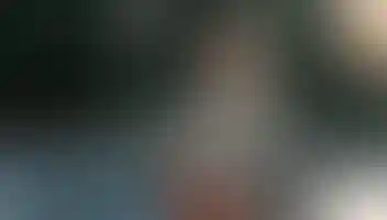 Франшиза «Be Flex»