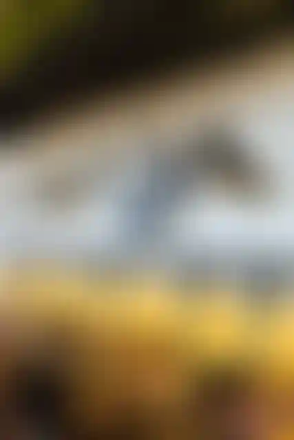 Изображение галереи