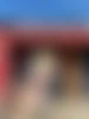 Изображение галереи