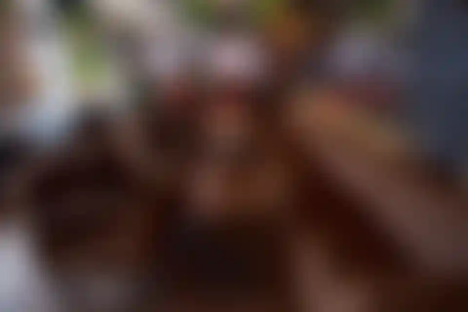 Изображение галереи