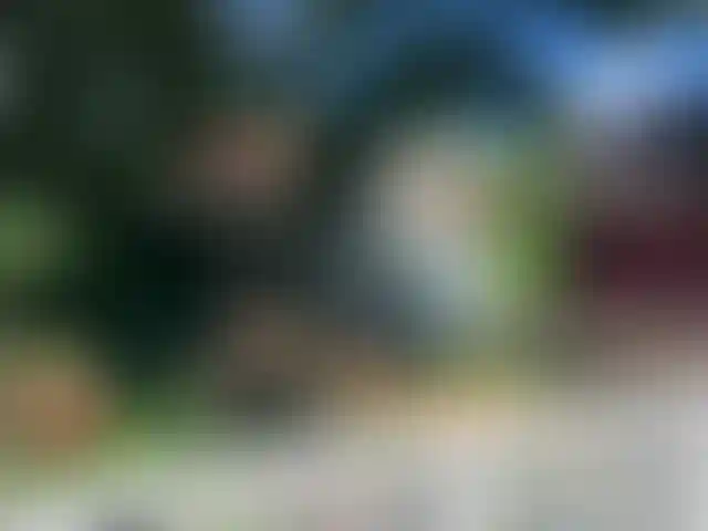 Изображение галереи