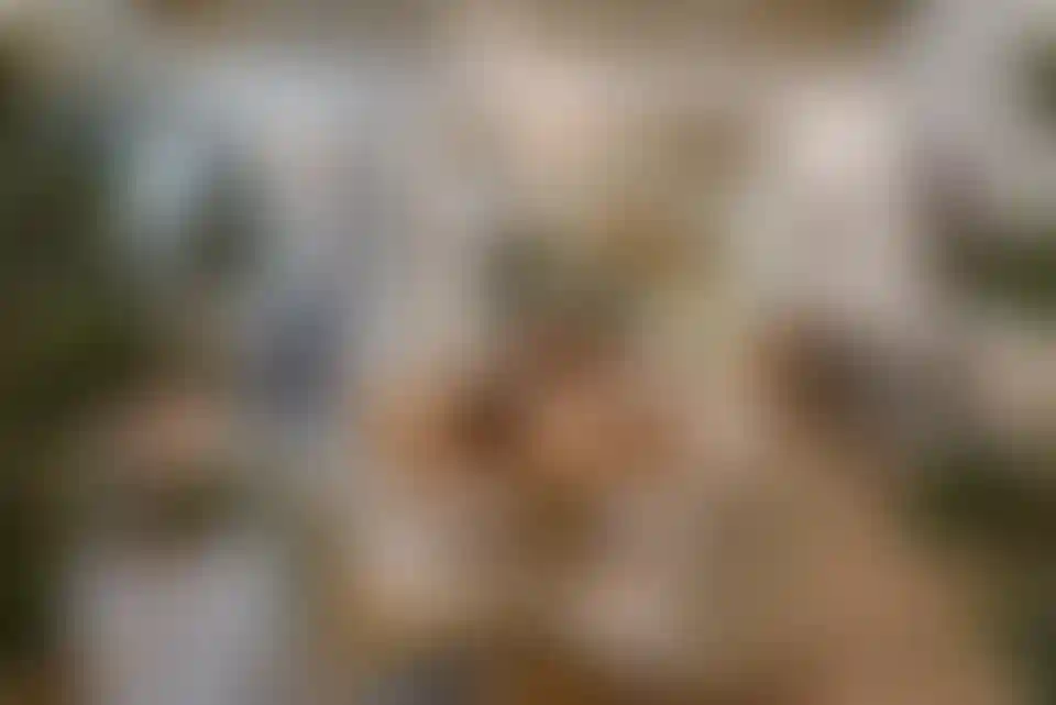 Изображение галереи