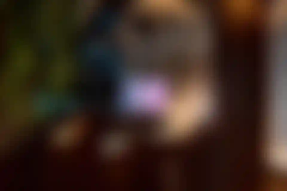 Изображение галереи