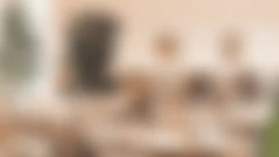 Изображение галереи