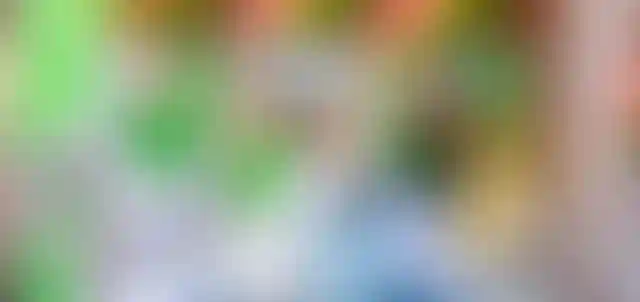 Полиглотики