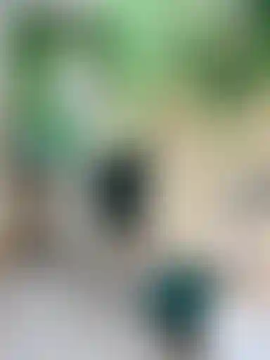 Изображение галереи