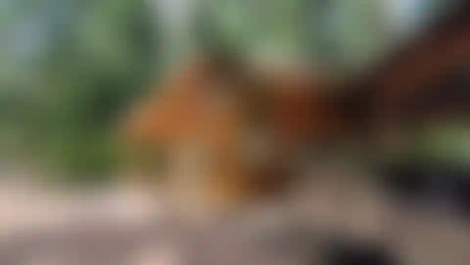 Изображение галереи