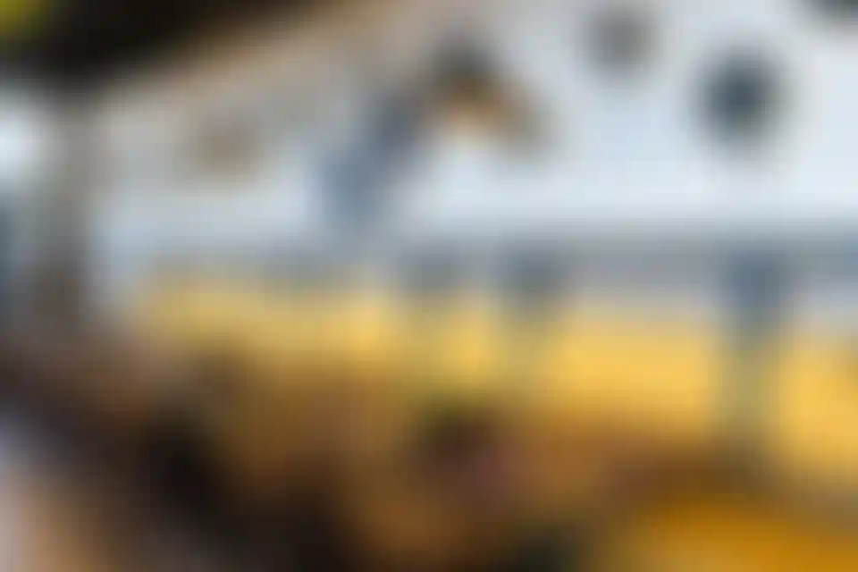 Изображение галереи