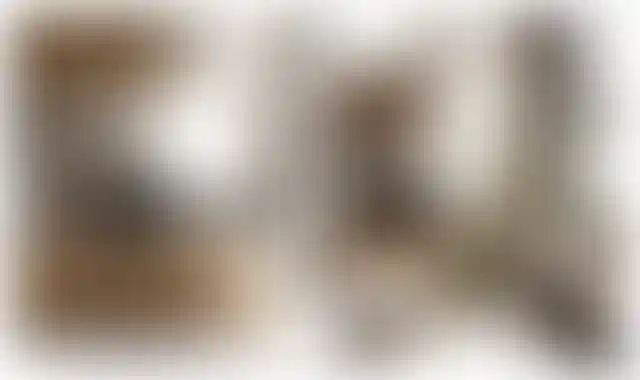 Изображение галереи