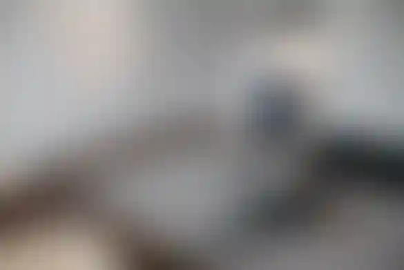 Изображение галереи