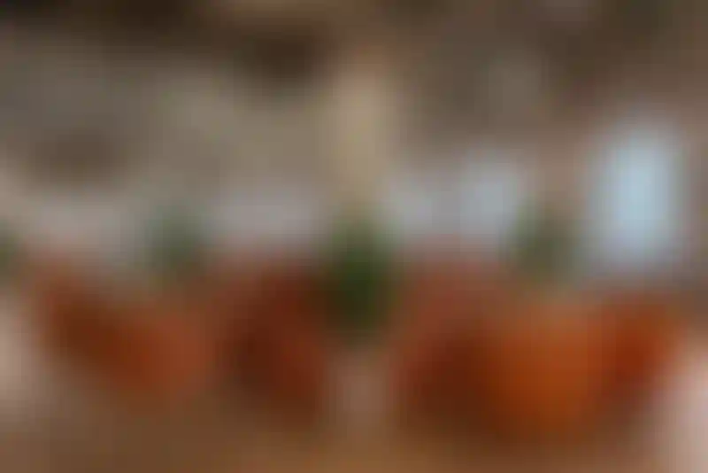 Изображение галереи