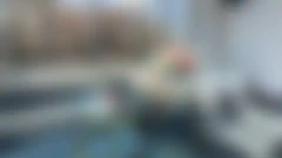 Изображение галереи