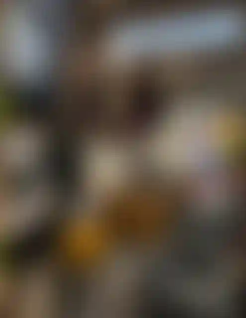 Изображение галереи