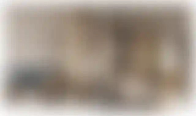 Изображение галереи