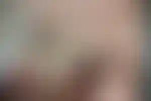 Изображение галереи