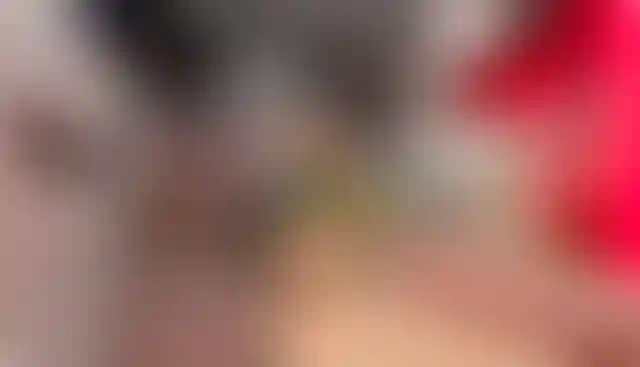 Изображение галереи