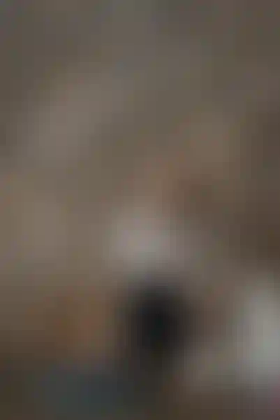 Изображение галереи