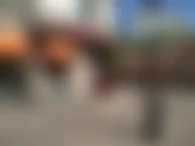 Изображение галереи