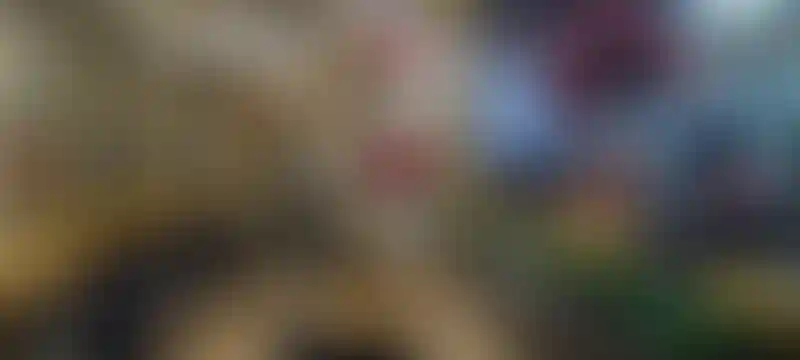 Изображение галереи