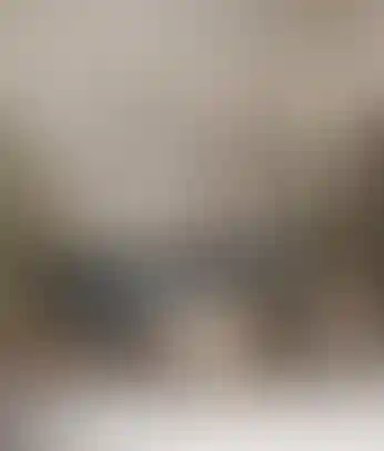 Изображение галереи