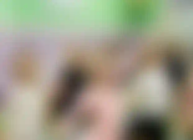 Изображение галереи