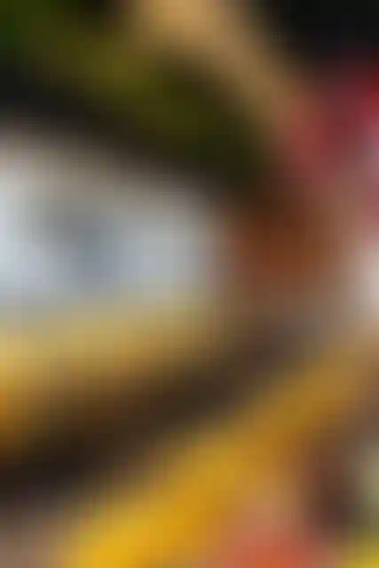 Изображение галереи