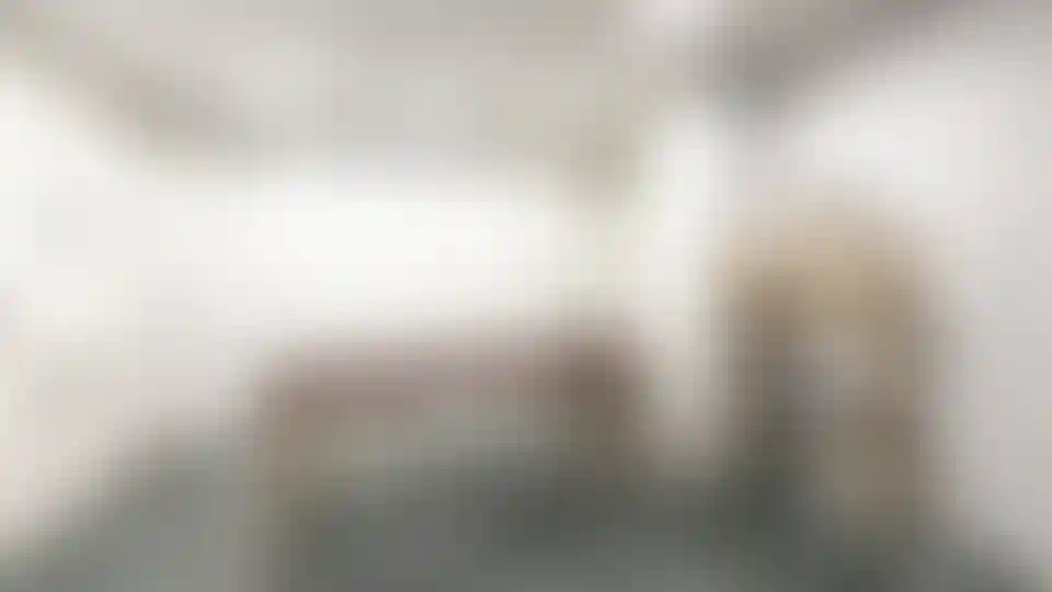 Изображение галереи