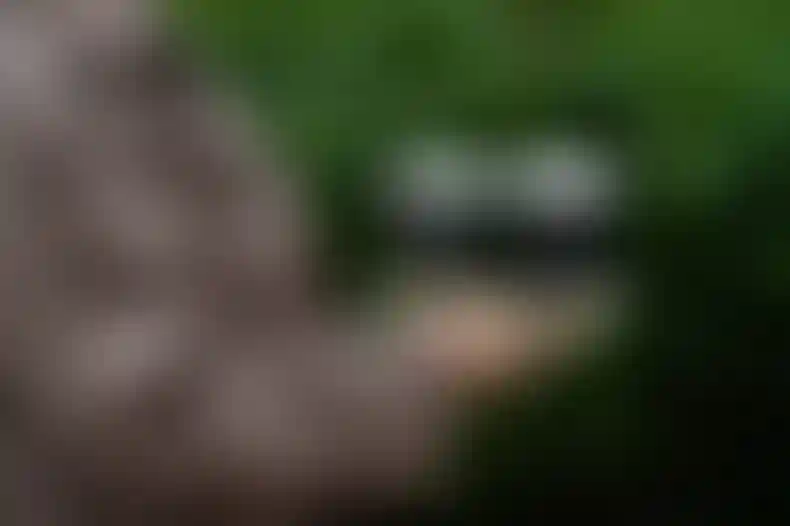 Изображение галереи