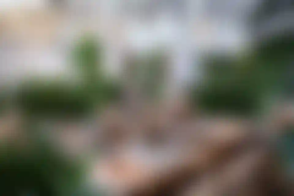 Изображение галереи