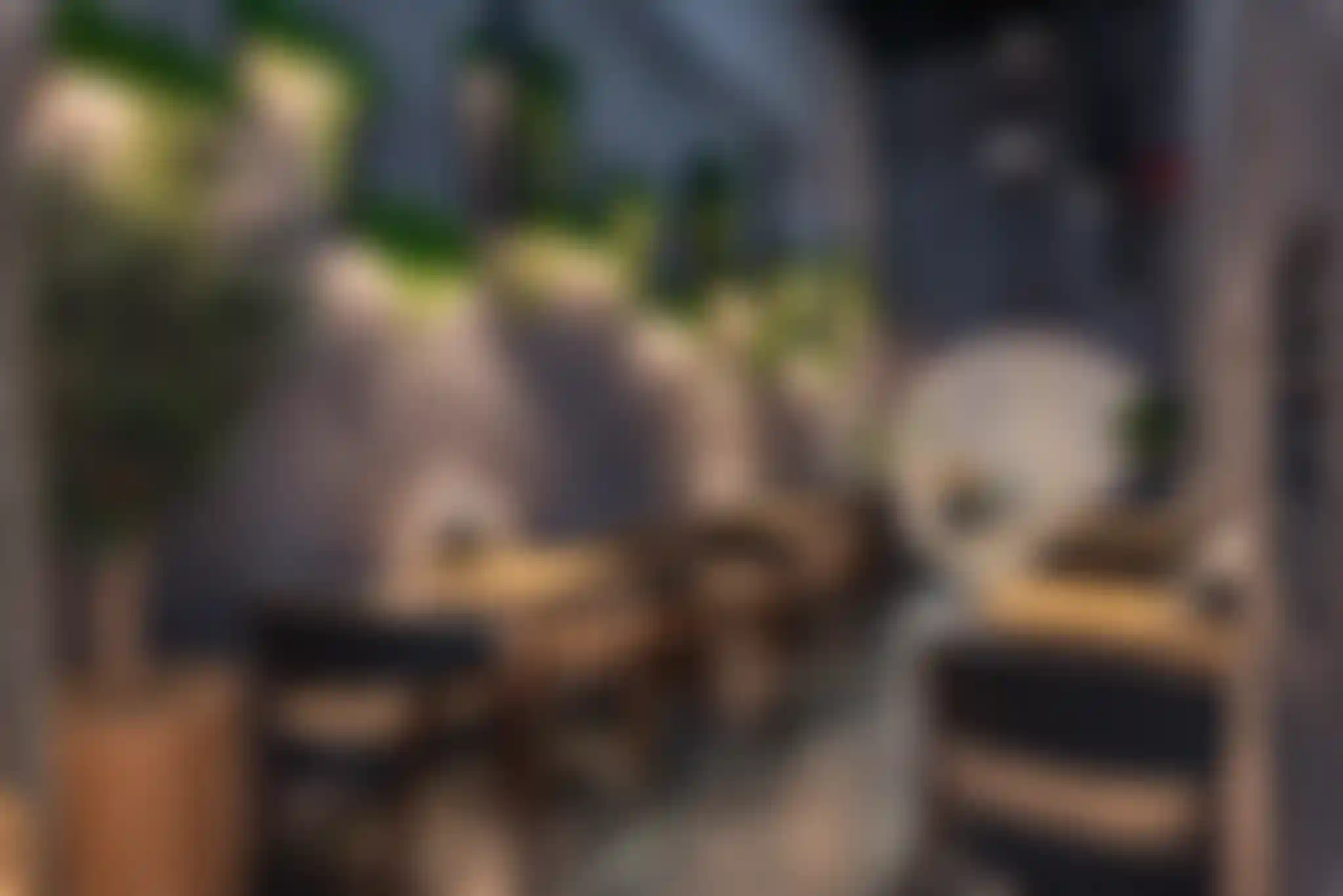 iL ПАТИО | Планета Суши