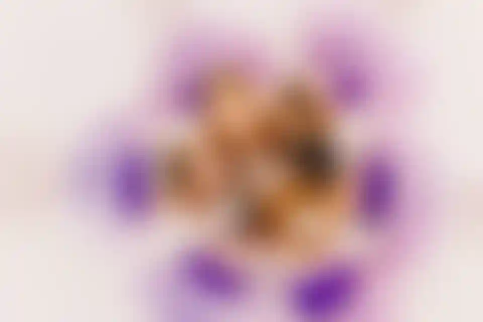 Изображение галереи