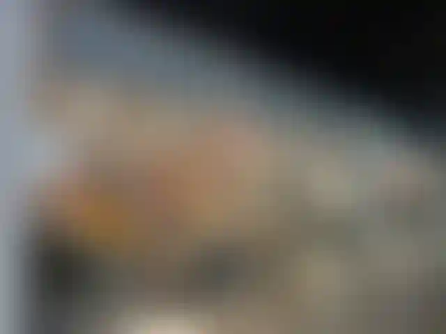 Изображение галереи