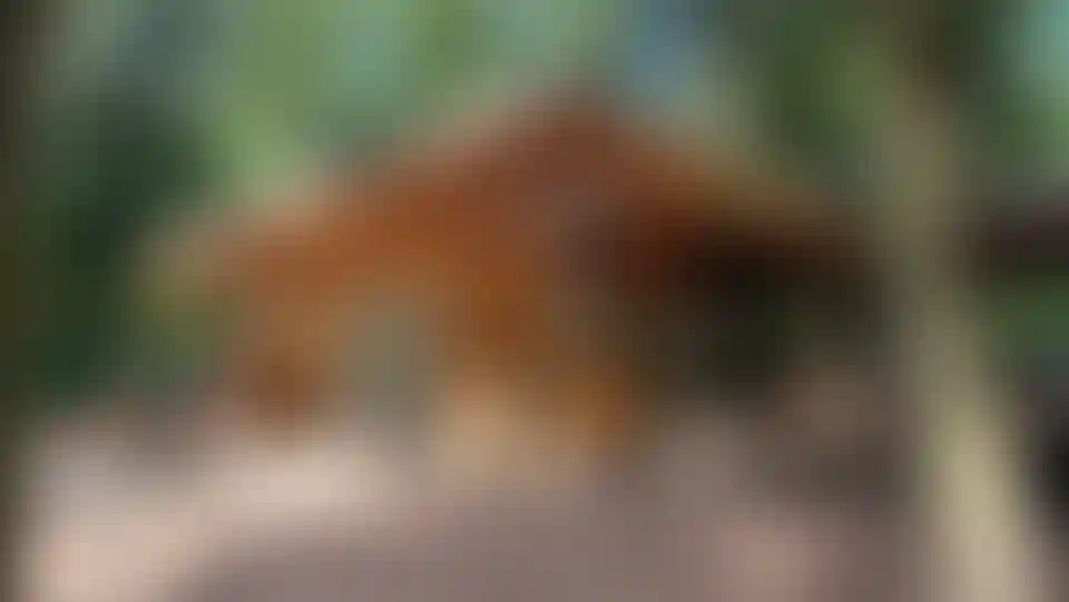 Изображение галереи