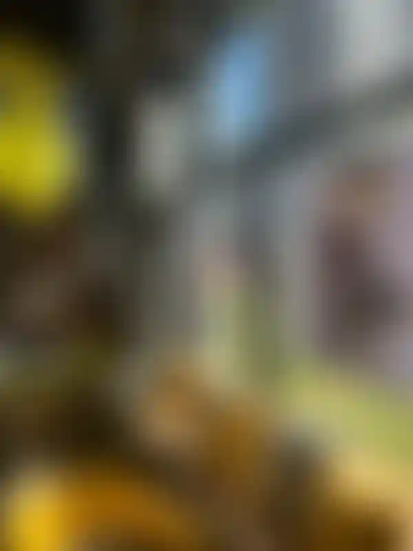 Изображение галереи