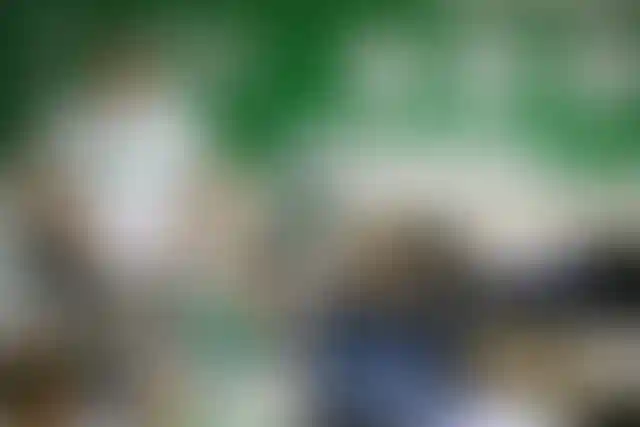 Изображение галереи