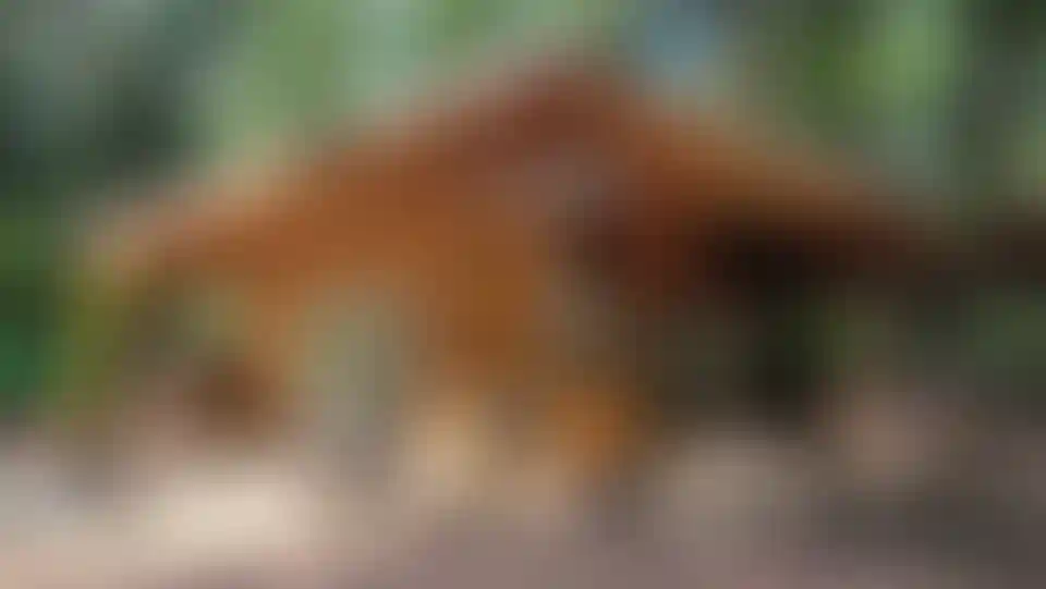 Изображение галереи