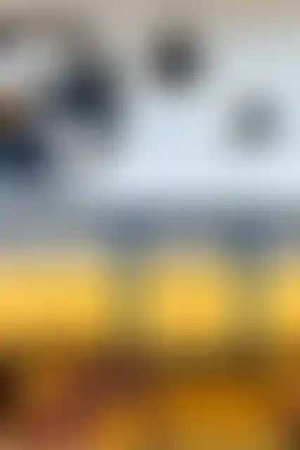 Изображение галереи