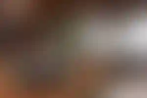 Изображение галереи