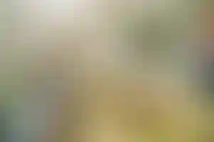 Изображение галереи