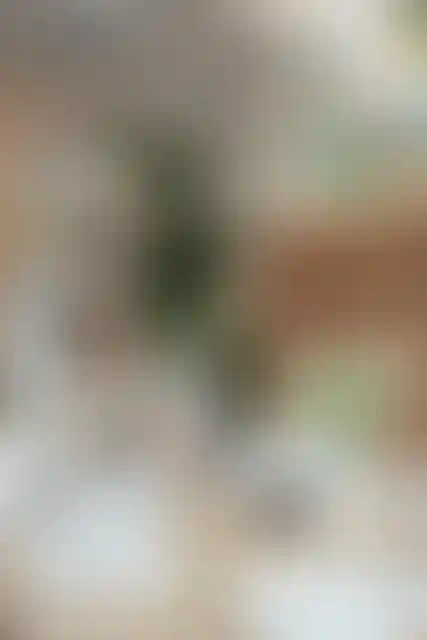 Изображение галереи