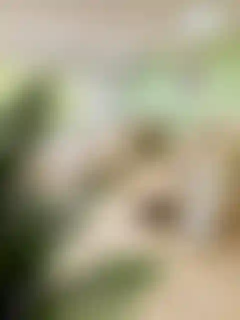 Изображение галереи