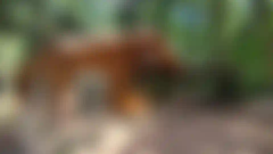 Изображение галереи