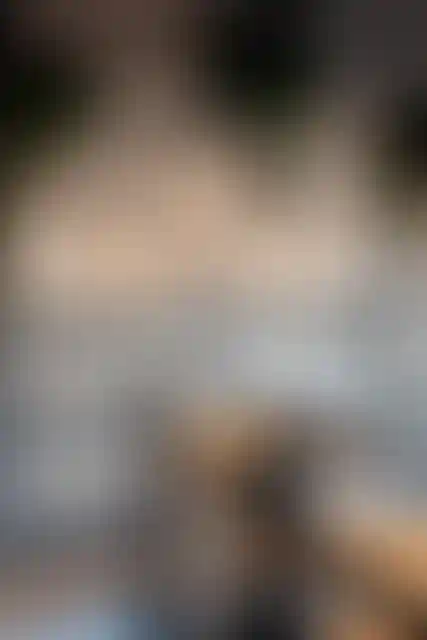 Изображение галереи