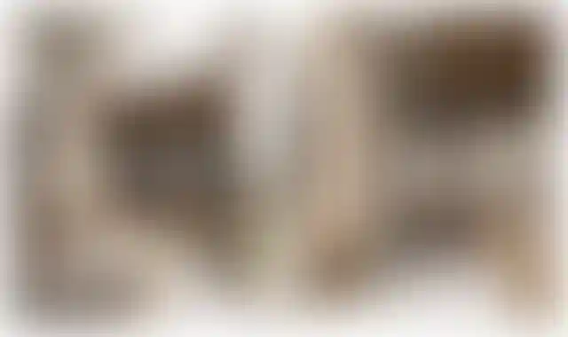 Изображение галереи