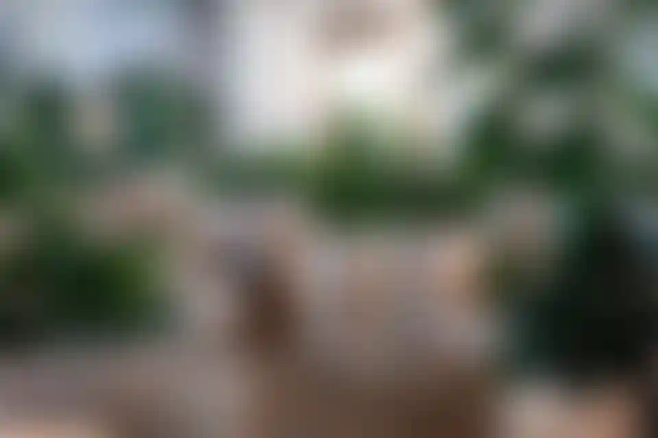 Изображение галереи