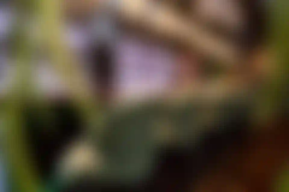 Изображение галереи